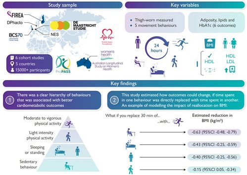 研究發現 運動護心，哪種最給力？數字技術帶你一探究竟